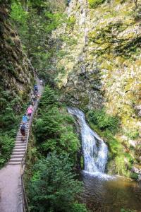 Premium Black Forest Suite - Apartment