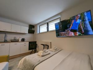 Cozy Condo in Tresnjevka