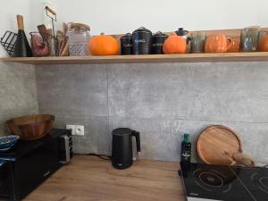 Domek GORCZAŃSKA KOLIBA w Gorcach