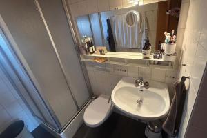 Dachferienwohnung Vieux Valais A, Ost-Mitte