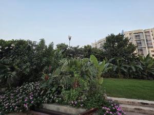 KD Palace Heritage Luxury Homestays