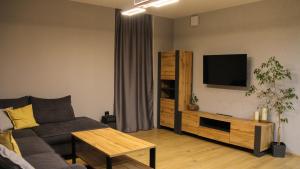 MountRiver Apartment