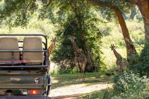 Karongwe - River Safari Lodge