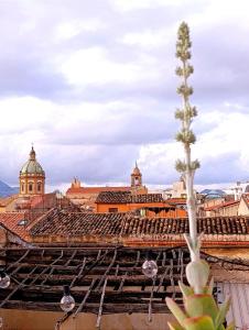 Casa Cutó near Central Station
