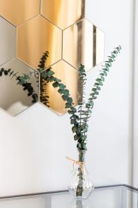 Peaceful & Calm 1BR Studio l Near MOA, SMX & NAIA