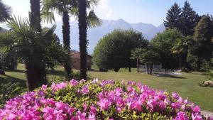 Wohnung In Euroville Mit Gemeinschaftlichem Pool