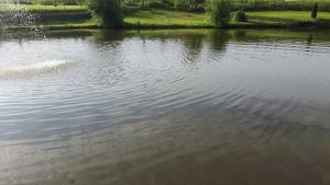 Gościniec Nad Stawem