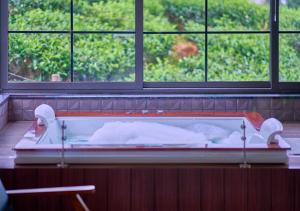 The Saray Munnar Luxury Resort with Pool by VOYE HOMES