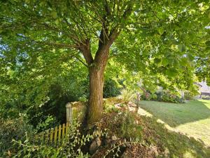 Le Bry de 6 à 14 personnes