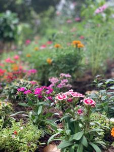 Na Kwai Villa Riverside