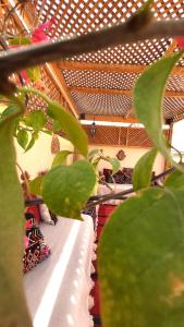 Riad 19 Marrakech
