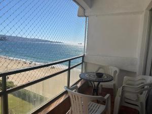 Preciosa vista Viña - San Martin 10 Norte