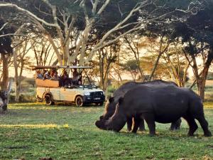 AfriCamps at Bonamanzi Game Reserve