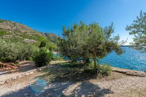 Silvio Beach House - Shoreline Haven