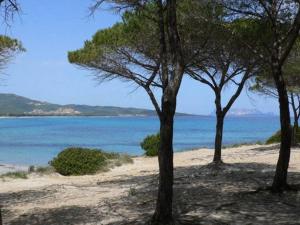 Villa Maccioni img31