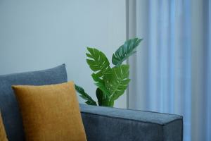 Elegant Athenian Escape near Lycabettus