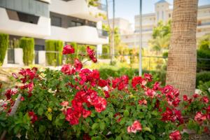 Vista del Sol in Arenales-Gran Alacant