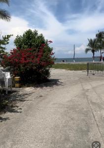 Frente al mar ,vista panoramica, acceso a la playa