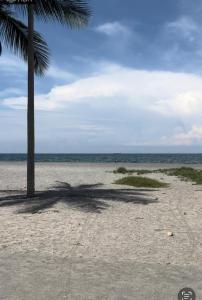 Frente al mar ,vista panoramica, acceso a la playa