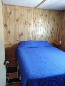 Luminosa Cabaña a pasos de Avda Recabarren