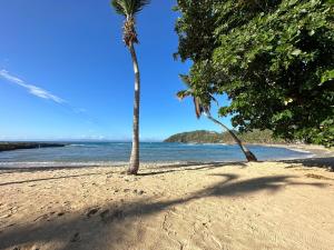 Beautiful second floor apartment with loft 5D