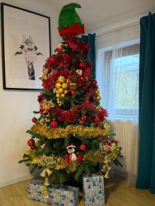 Turqoise Central Apartaments