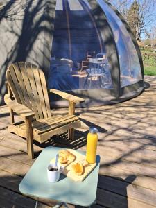 Bulle de létang - Etat Nature