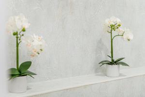 Casa Bella Apartments