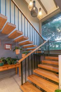 The Tree House Accommodation