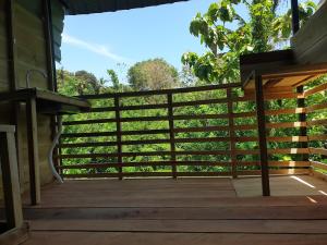 Spring Shelter Dickwella