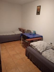 Agroturystyka Skrzypczyk