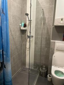 Apartament mit eine Schlafzimmer Ferienwohnung