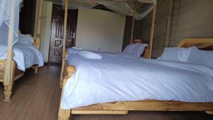 Osutua Rafiki Camp Ltd