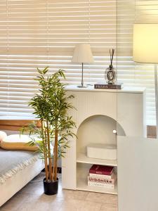 Gangnam 1min-Cozy Studio-Netflix-Silver909