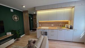 Apartament Evergreen