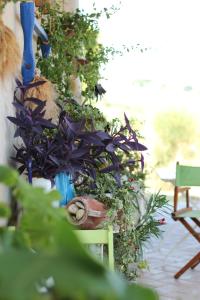 BeB Vento di Rose Brezza blu