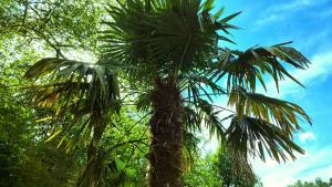 CoCo Cabin Luxe Tiny House - Privé Hottub - Strand & zwemvijver - Privacy