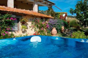 B&B Vento di Rose Brezza blu