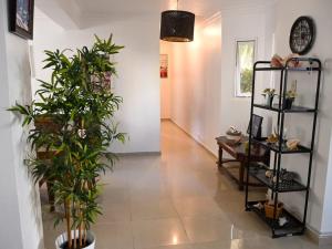 Bellomar I Exclusive Juan Dolio Playa Hemingway