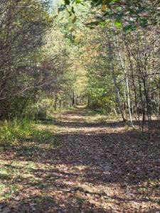 New Home with Game Room and Nature Trails in Port Huron