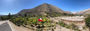 VALLE DEL ELQUI,Diaguitas, Vicuña