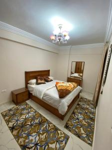 ميامى هايتس