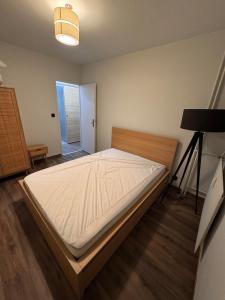 Grand T4 rénové centre-ville