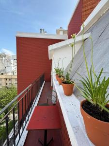 Lindo departamento en el centro de Mar del Plata