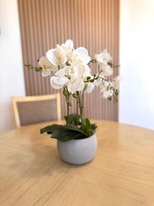 Apto 2 habitaciones cerca del aeropuerto