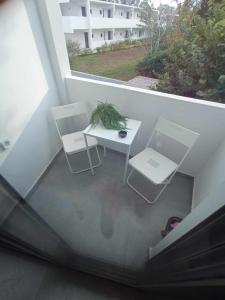 Nirea Tree View Studio