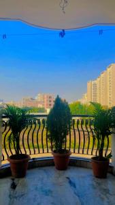 Hotel & Bnb,Homestay Solanki residency Jaipur