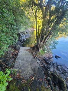 Cabaña Pucura - Orilla de Lago