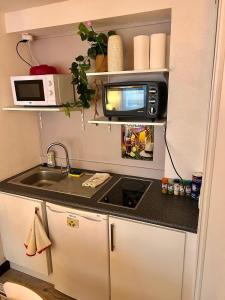 Le cocon du Vieux Colmar