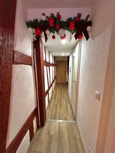 Le cocon du Vieux Colmar